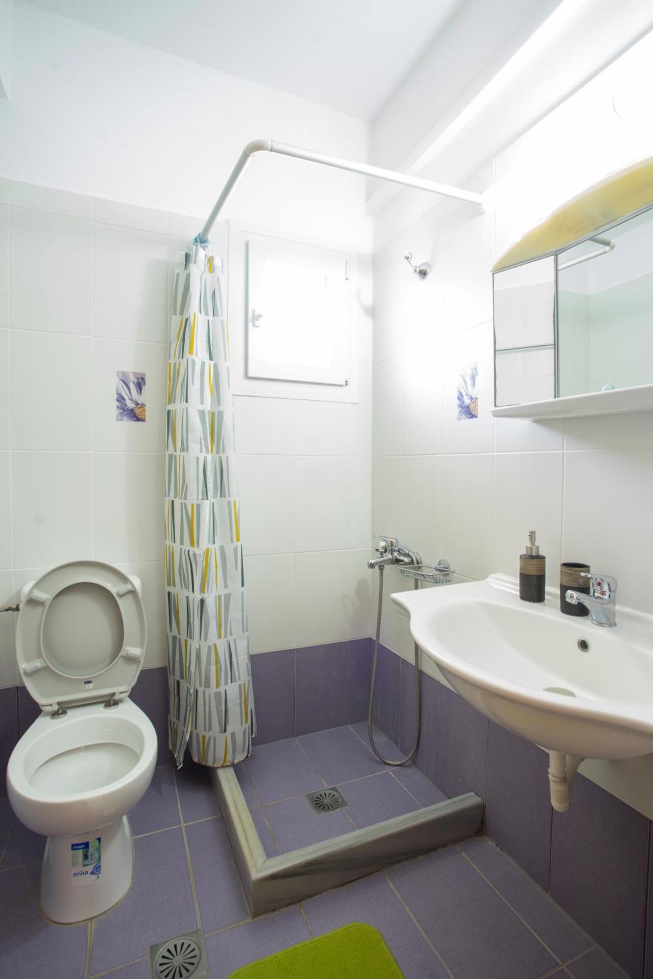 Despina'S House Apartment Nydri  Bagian luar foto
